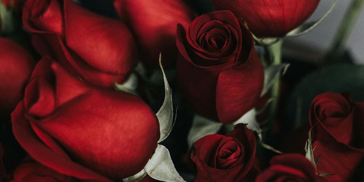 romance-DMID1-69yzu9ga6-1920x1080.jpg - Presa360