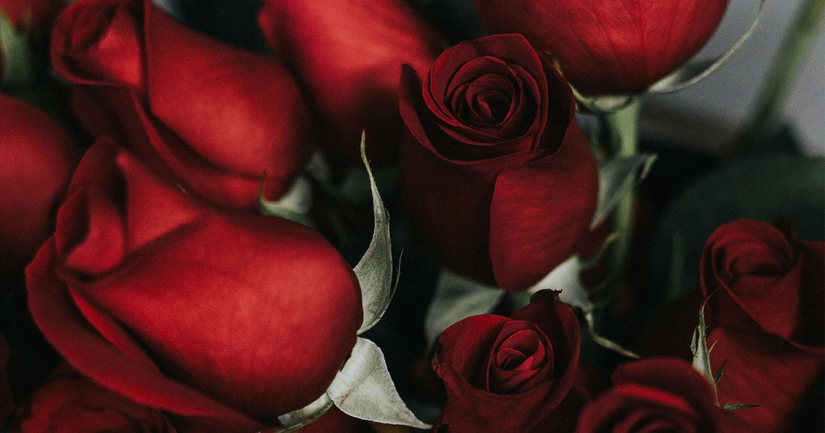 Noul avertisment al FBI: Romance scams măresc miza odată cu apropierea Valentine's Day Zeci de mii de dolari au fost pierduți de locuitorii din Carolina de Nord din cauza unor escrocherii romantice, iar autoritățile devin din ce în ce mai alarmate pe măsură ce se apropie Ziua Îndrăgostiților