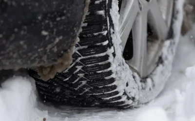 stratdezapada_INQUAM_Photos_Cosmin_Enache.webp.webp - Presa360