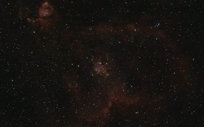 thibault-henry-SAeHlKubA5k-unsplash-scaled.jpg - Presa360