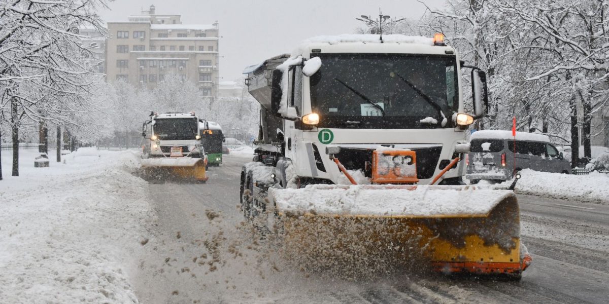 utilaje-de-deszapezire-in-Bucuresti.jpg - Presa360