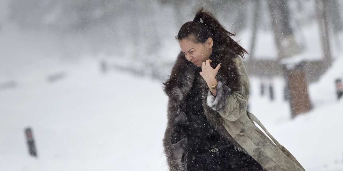 viscol.jpg - Presa360