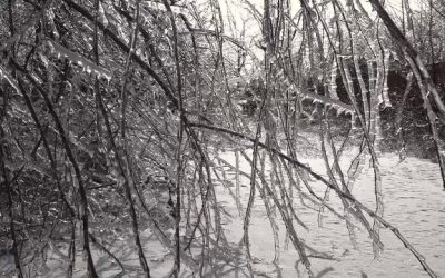 vlcsnap-2026-01-31-19h09m01s729.png - Presa360