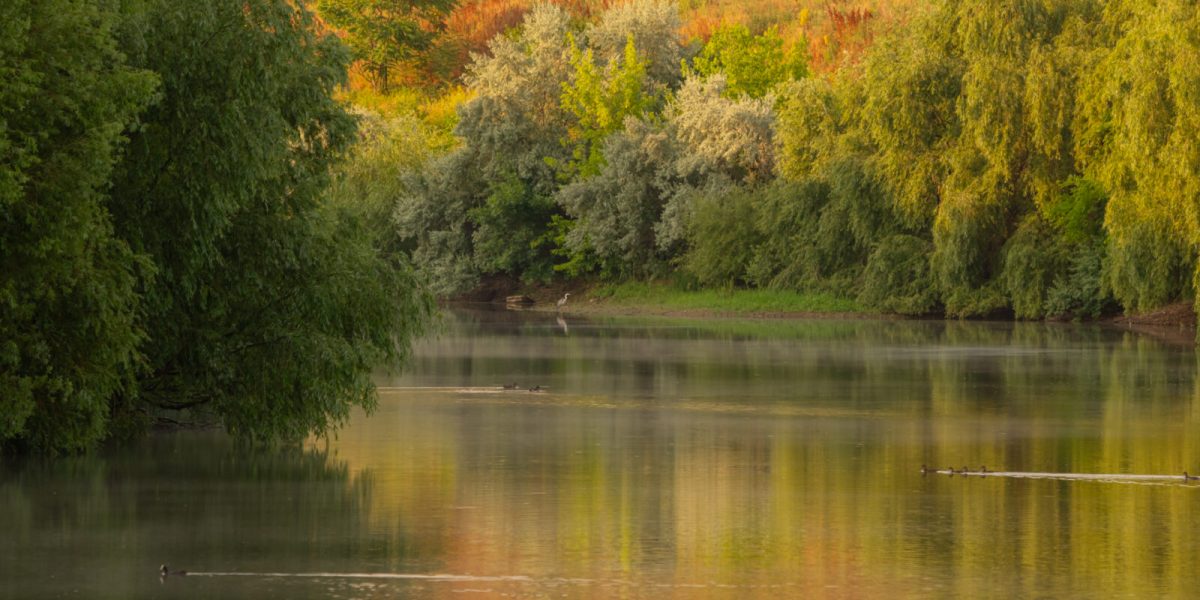 Bucureștiul devine scenă pentru o aventură foto în mijlocul naturii urbane Orașul București se transformă duminică, 22 martie, într-un teren de explorare pentru iubitorii de fotografie și natură