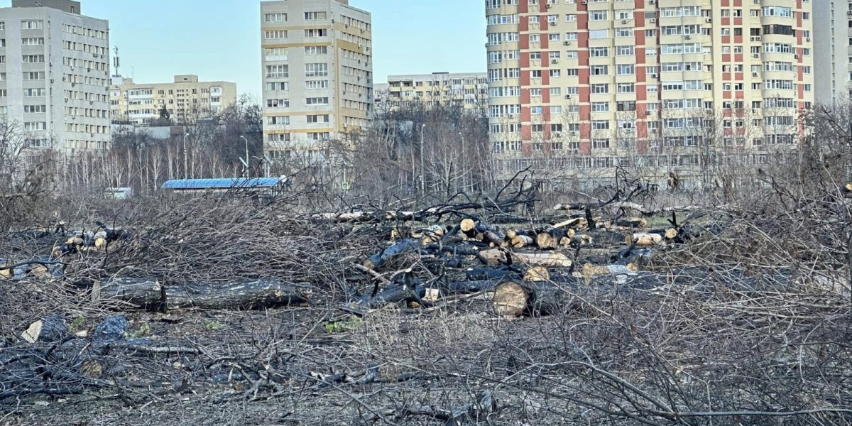 Primarul Capitalei: AUR a avut cerinţe rezonabile pentru oprirea boicotului și analizează exproprierea etapizată la Parcul IOR