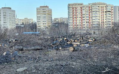 Primarul Capitalei: AUR a avut cerinţe rezonabile pentru oprirea boicotului și analizează exproprierea etapizată la Parcul IOR