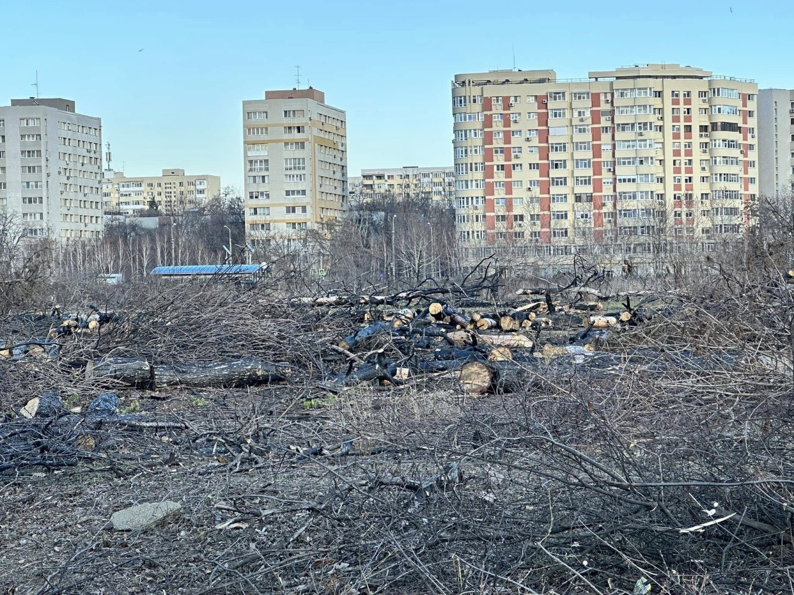 Primarul Capitalei: AUR a avut cerinţe rezonabile pentru oprirea boicotului și analizează exproprierea etapizată la Parcul IOR