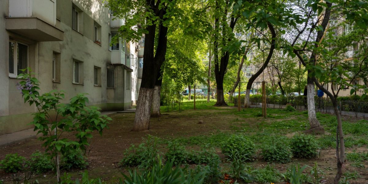 Tinerii din Sectorul 2 al Capitalei sunt invitați să-și pună amprenta asupra transformării urbane, participând la un proiect inovator internațional care vizează regenerarea spațiilor verzi și adaptarea la provocările schimbărilor climatice