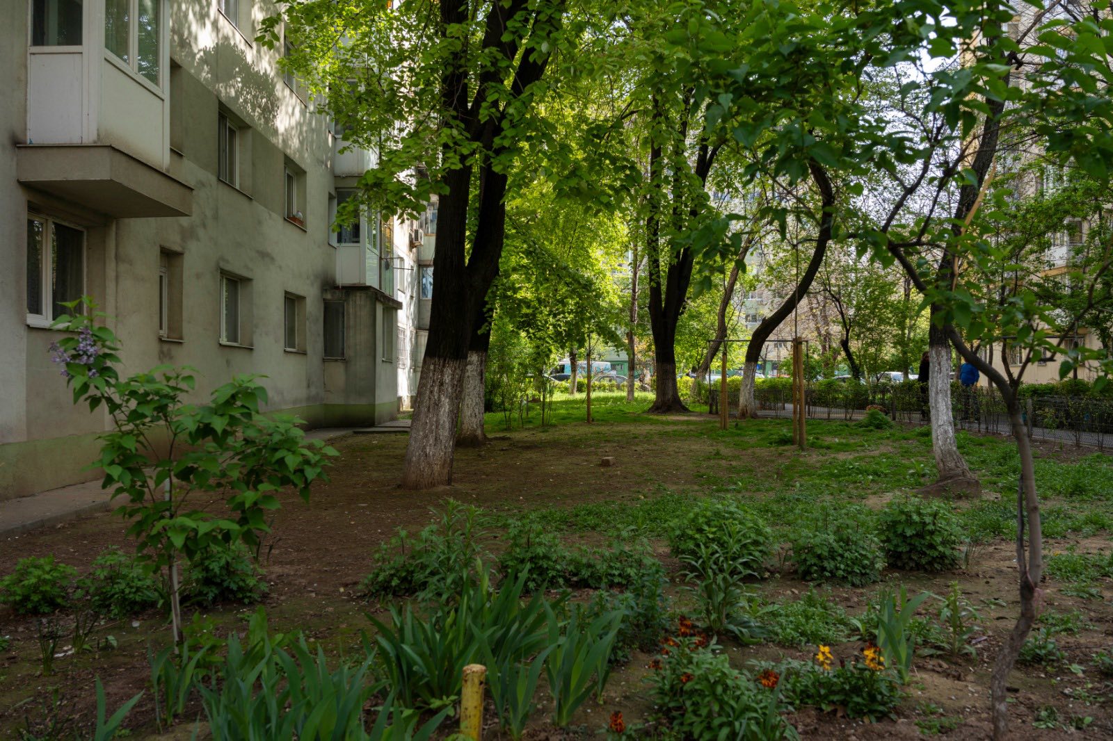 Tinerii din Sectorul 2 al Capitalei sunt invitați să-și pună amprenta asupra transformării urbane, participând la un proiect inovator internațional care vizează regenerarea spațiilor verzi și adaptarea la provocările schimbărilor climatice