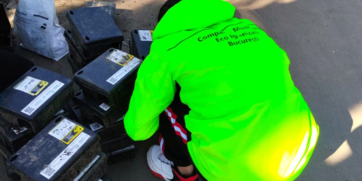 Bucureștiul intră în noua fază a campaniei intensive de combatere a rozătoarelor, în contextul eforturilor continuue de a asigura un mediu urban mai sigur și mai civilizat pentru locuitori