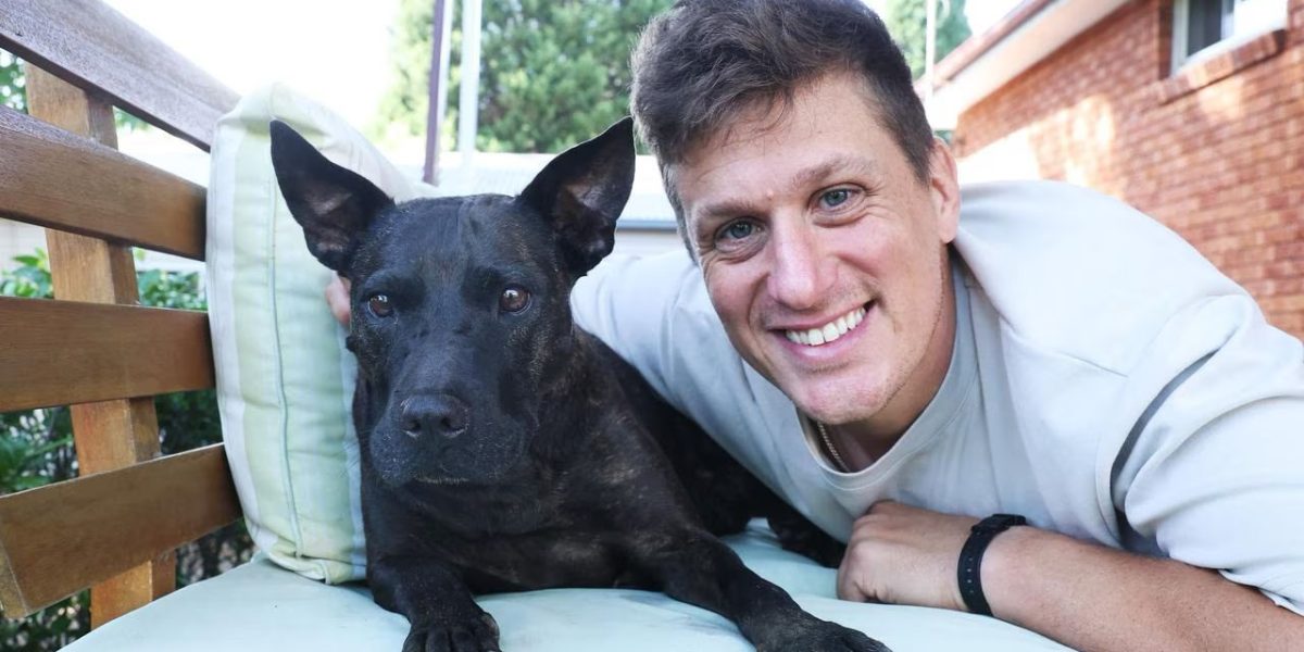 Un antreprenor din Sydney a folosit inteligența artificială pentru a obține rezultate remarcabile într-un tratament experimental pentru cancer la un câine identificat cu un mast cell tumor avansat