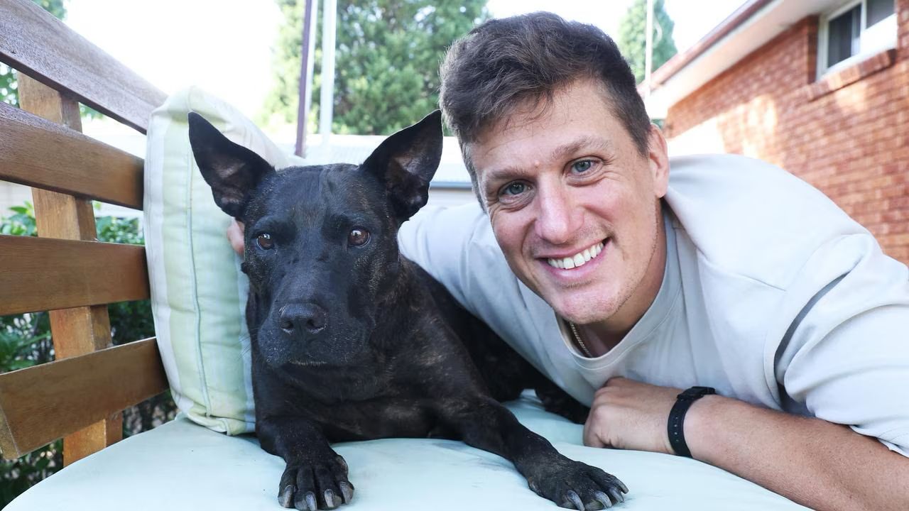 Un antreprenor din Sydney a folosit inteligența artificială pentru a obține rezultate remarcabile într-un tratament experimental pentru cancer la un câine identificat cu un mast cell tumor avansat