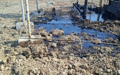 Comisarii Gărzii de Mediu au sancționat dur o firmă din județul Dâmbovița, aplicând o amendă record de 100.000 de lei după ce au descoperit poluare semnificativă cu produse petroliere la două sonde situate în zonă