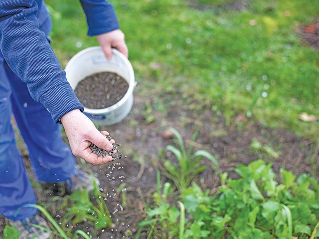 Producătorii și distribuitorii de îngrășăminte avertizează asupra impactului conflictului din Iran asupra costurilor alimentelor în România