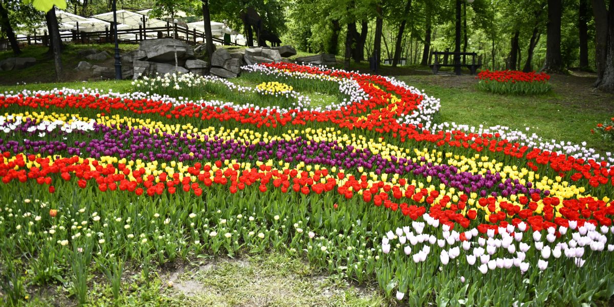 Oltenia, o provincie cu o istorie zbuciumată și un spirit de rezistență neînfricat, sărbătorește, anual, pe 21 martie, ziua care marchează identitatea sa distinctivă și contribuția esențială la formarea României