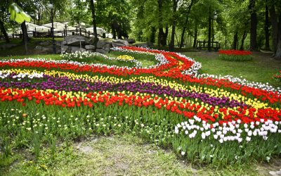 Oltenia, o provincie cu o istorie zbuciumată și un spirit de rezistență neînfricat, sărbătorește, anual, pe 21 martie, ziua care marchează identitatea sa distinctivă și contribuția esențială la formarea României