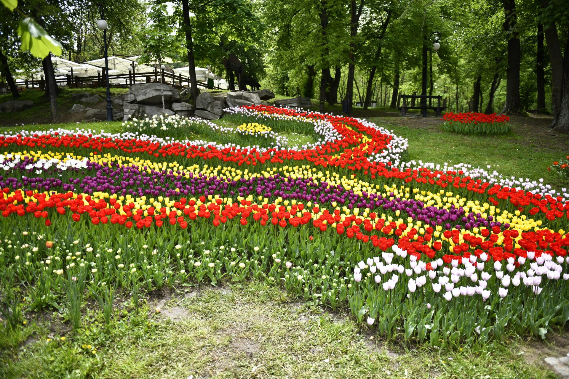 Oltenia, o provincie cu o istorie zbuciumată și un spirit de rezistență neînfricat, sărbătorește, anual, pe 21 martie, ziua care marchează identitatea sa distinctivă și contribuția esențială la formarea României