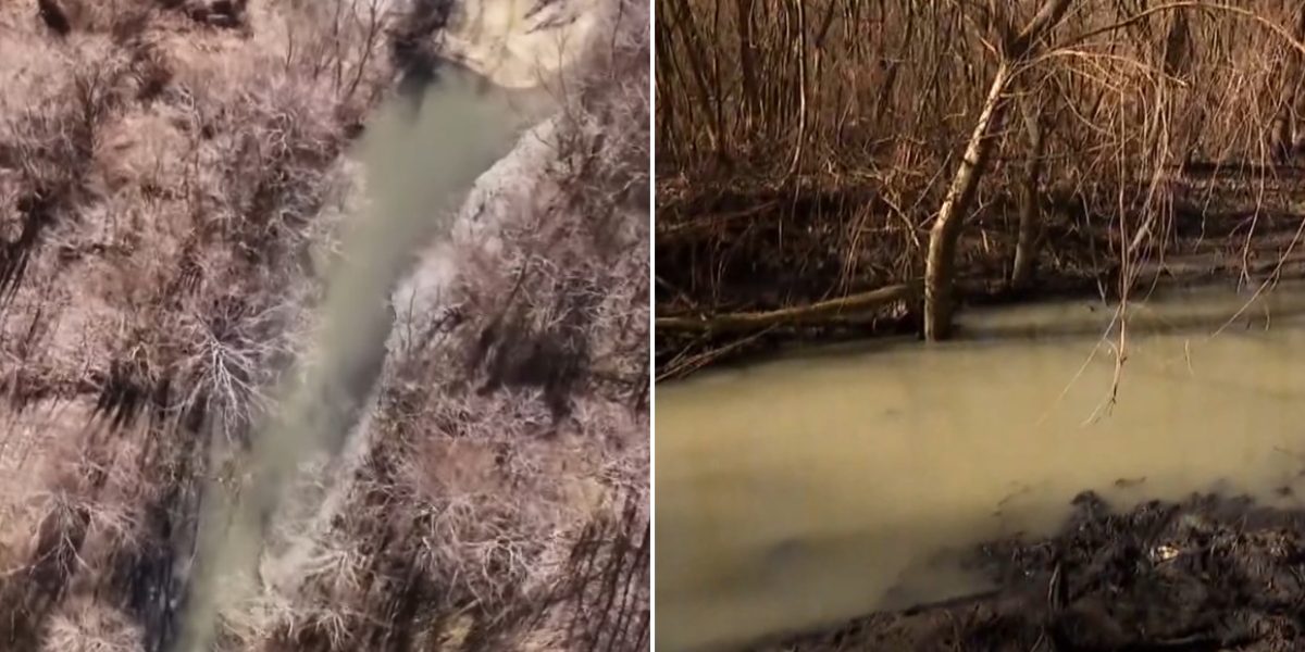 Apa din Capitală, extrem de poluată; Apa Nova nu intervine, potrivit „România, te iubesc”