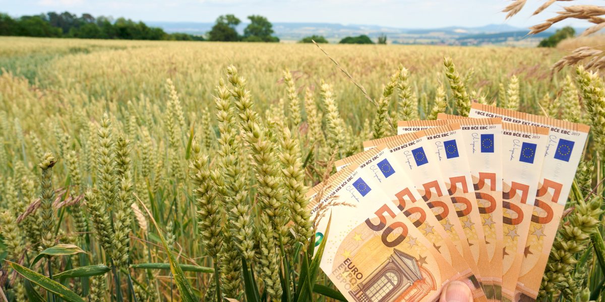 Subvențiile APIA ar putea ajunge în conturile fermierilor înaintea sărbătorilor de Paști, o veste mult așteptată de producătorii agricoli și cei din sectorul zootehnic