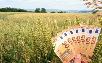 Românii pot primi banii înainte de Paște, dacă bugetul primește aprobare