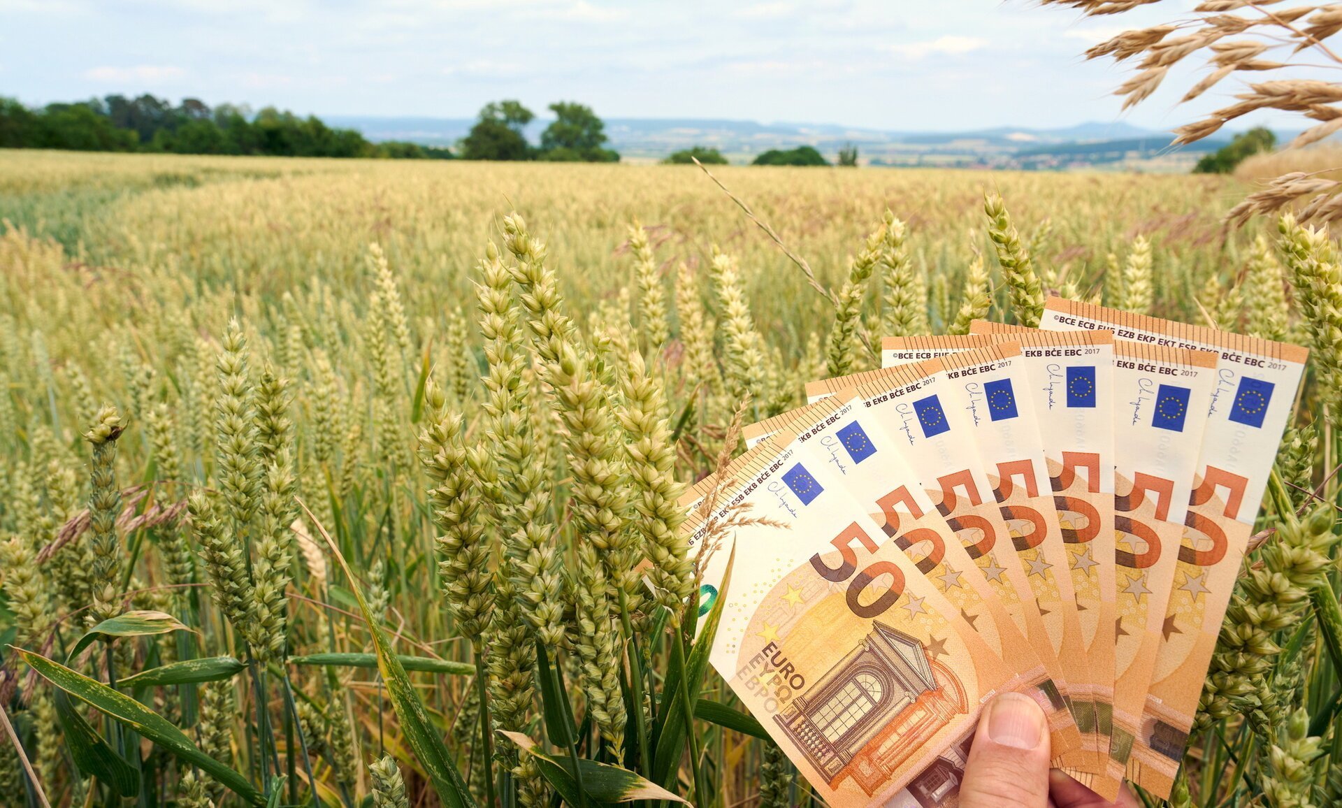 Subvențiile APIA ar putea ajunge în conturile fermierilor înaintea sărbătorilor de Paști, o veste mult așteptată de producătorii agricoli și cei din sectorul zootehnic