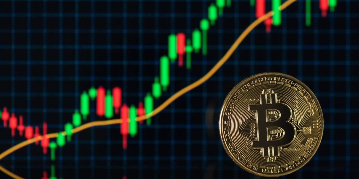 Bitcoin Is Down 19% in 2026 and These 3 ETFs Give You Every Way to Play It