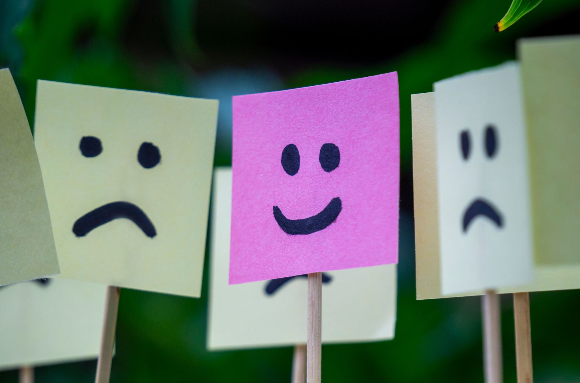 De ce contează să fii amabil într-o lume tot mai agitată? Într-un context în care conflictele și tensiunile par să devină regulă, un expert în neuroștiințe ne reamintește cât de vitală este bunătatea în viața de zi cu zi, atât pentru sănătatea noastră, cât și pentru coeziunea socială