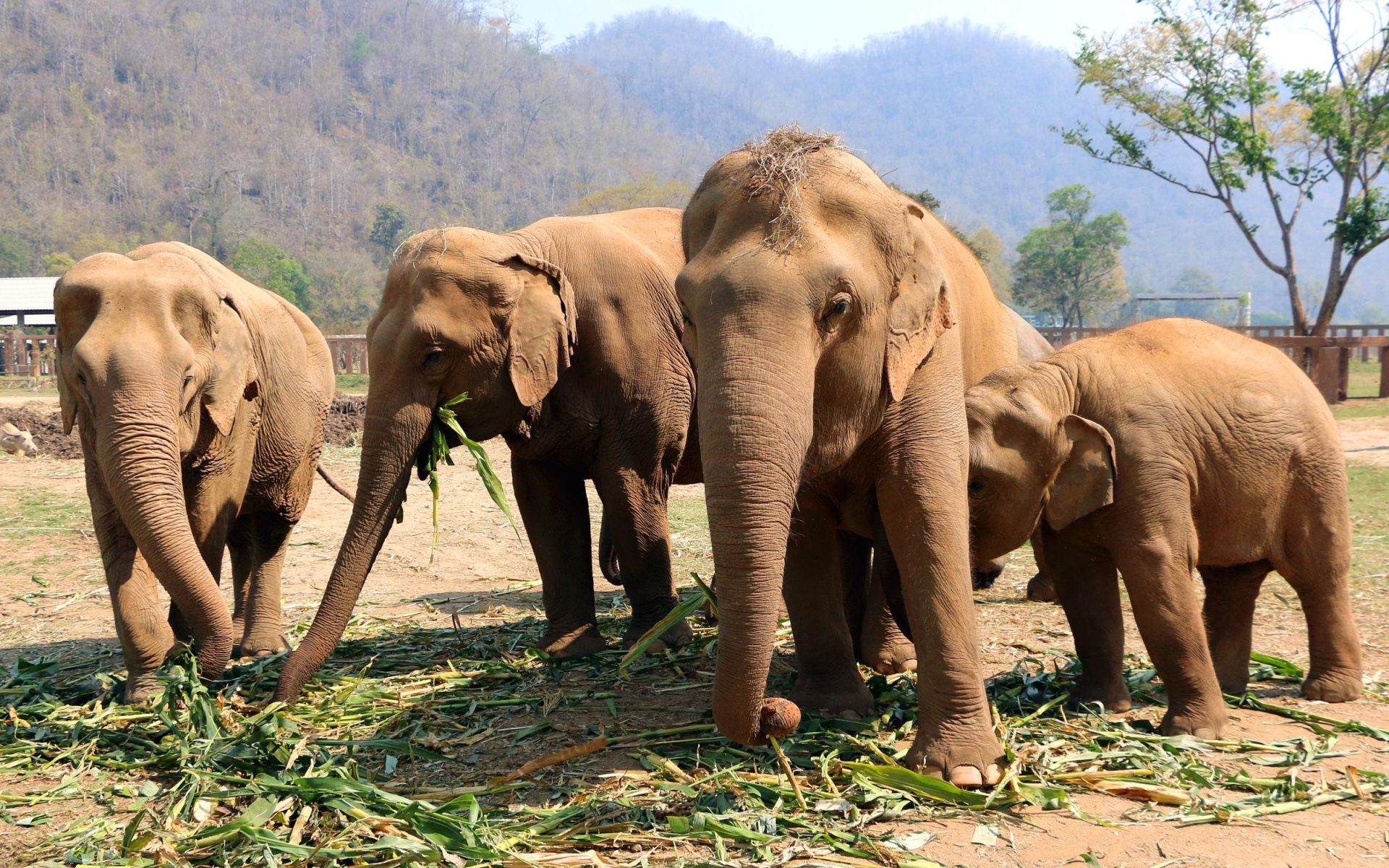 Finlandezii, poporul cu cea mai înaltă calitate a vieții din Europa, rămân fideli unei tradiții îndelungate de autoironie și umor subtil despre modul lor de a fi