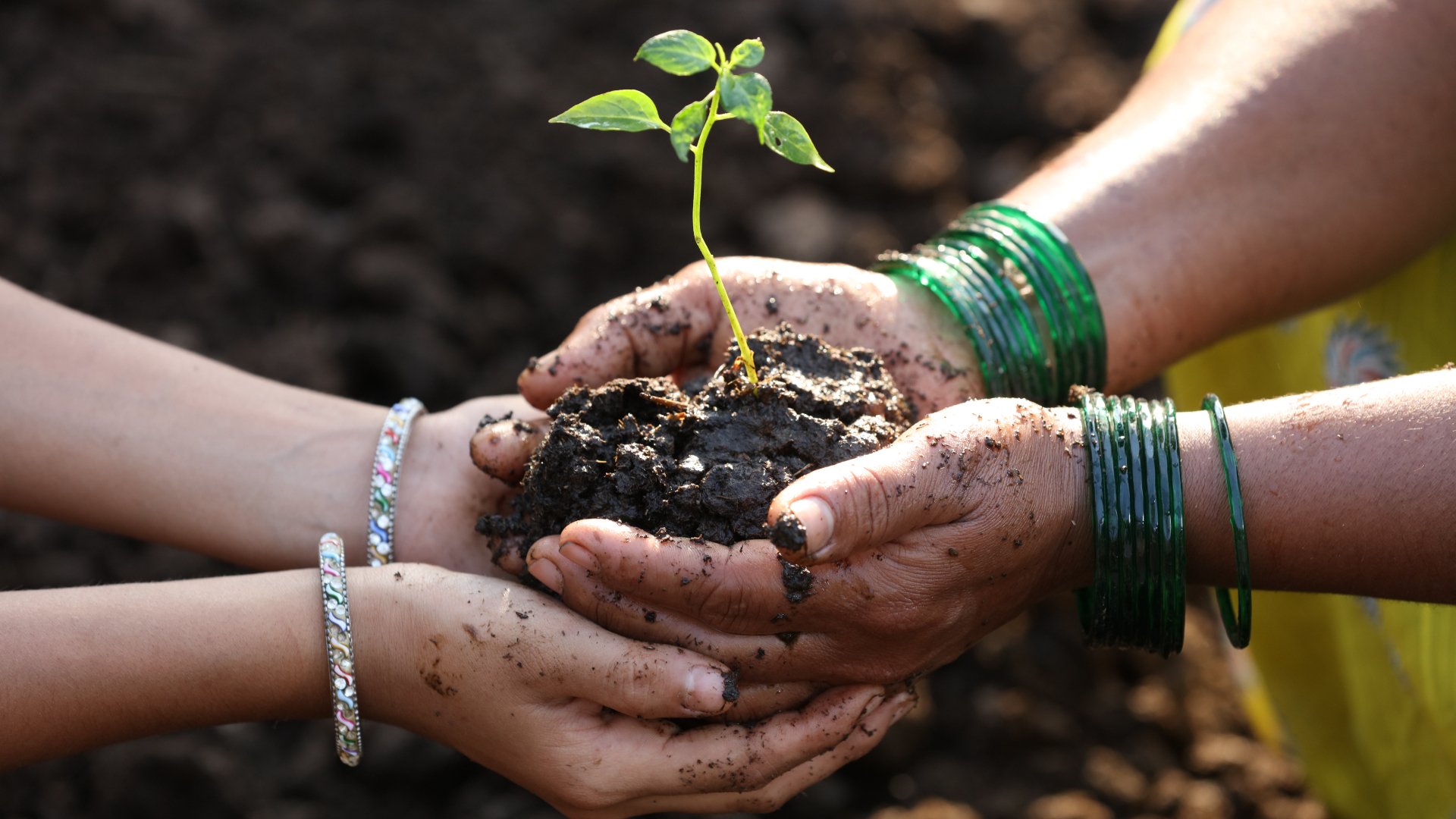 Timp pentru egalitate în agriculatură: Uniunea Europeană lansează o platformă dedicată femeilor fermier Uniunea Europeană face un pas important spre promovarea egalității de șanse în sectorul agricol, lansând o nouă platformă dedicată femeilor din comunitățile rurale