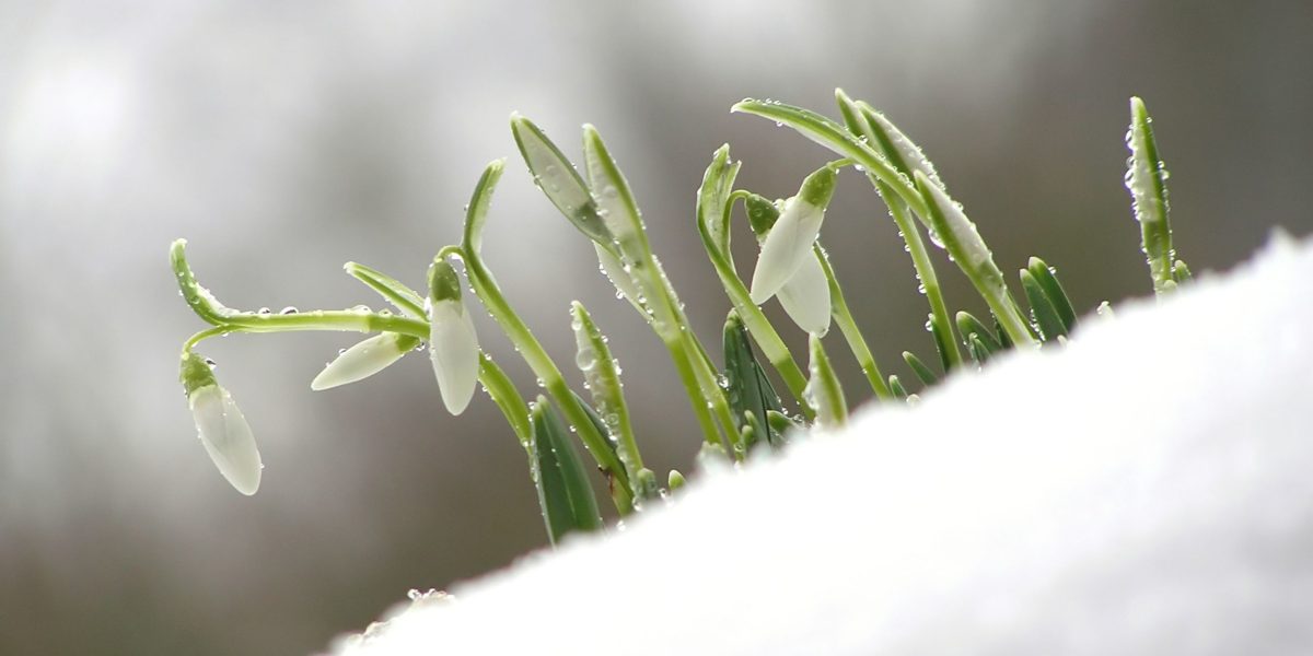 Martie începe cu temperaturi de -25°C și zile de primăvară târzie
