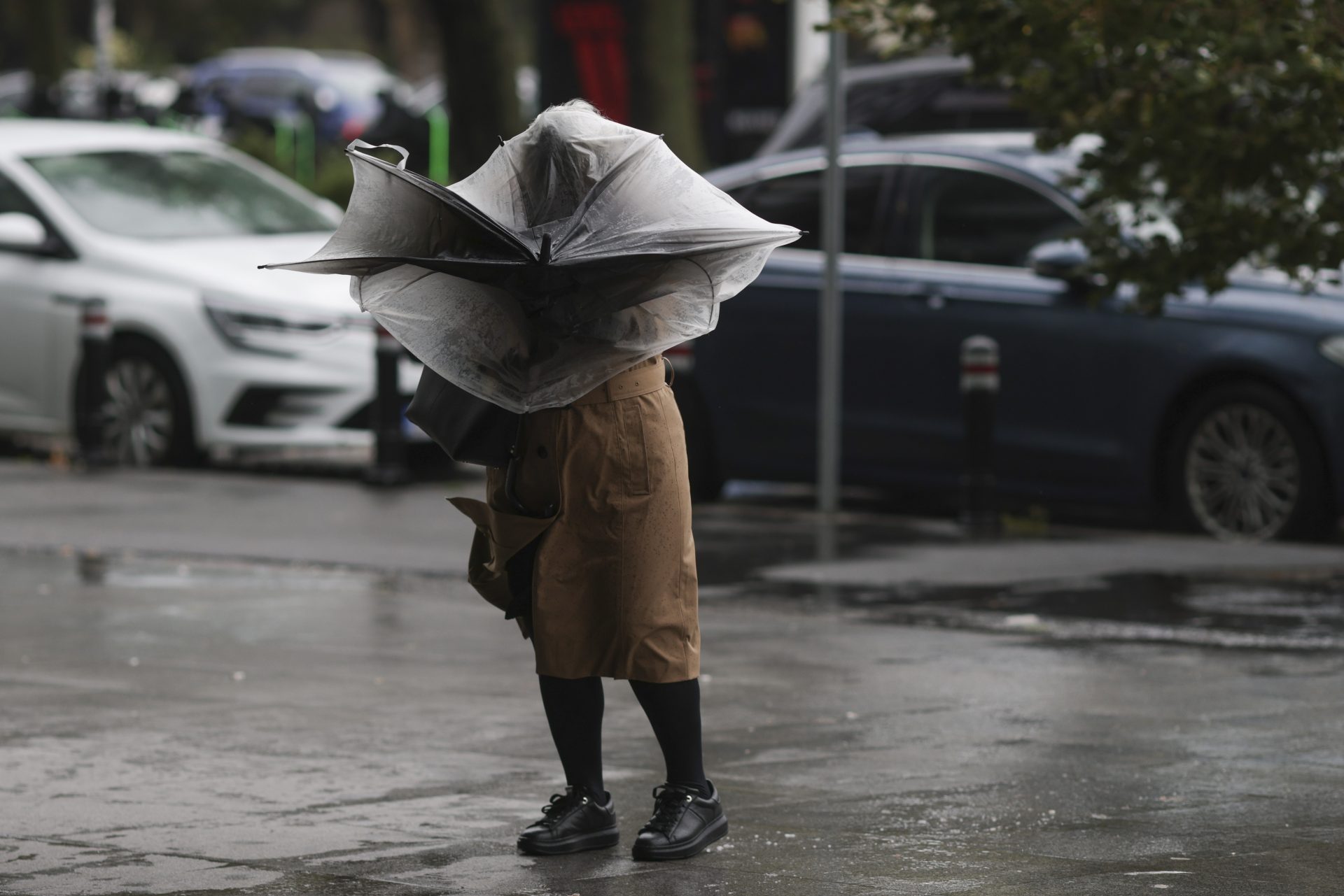 Meteorologii au emis vineri dimineață trei avertizări cod galben pentru precipitații însemnate cantitativ, vânt puternic și ninsori viscolite în zonele montane, valabile pentru o mare parte din țară până pe data de 30 martie
