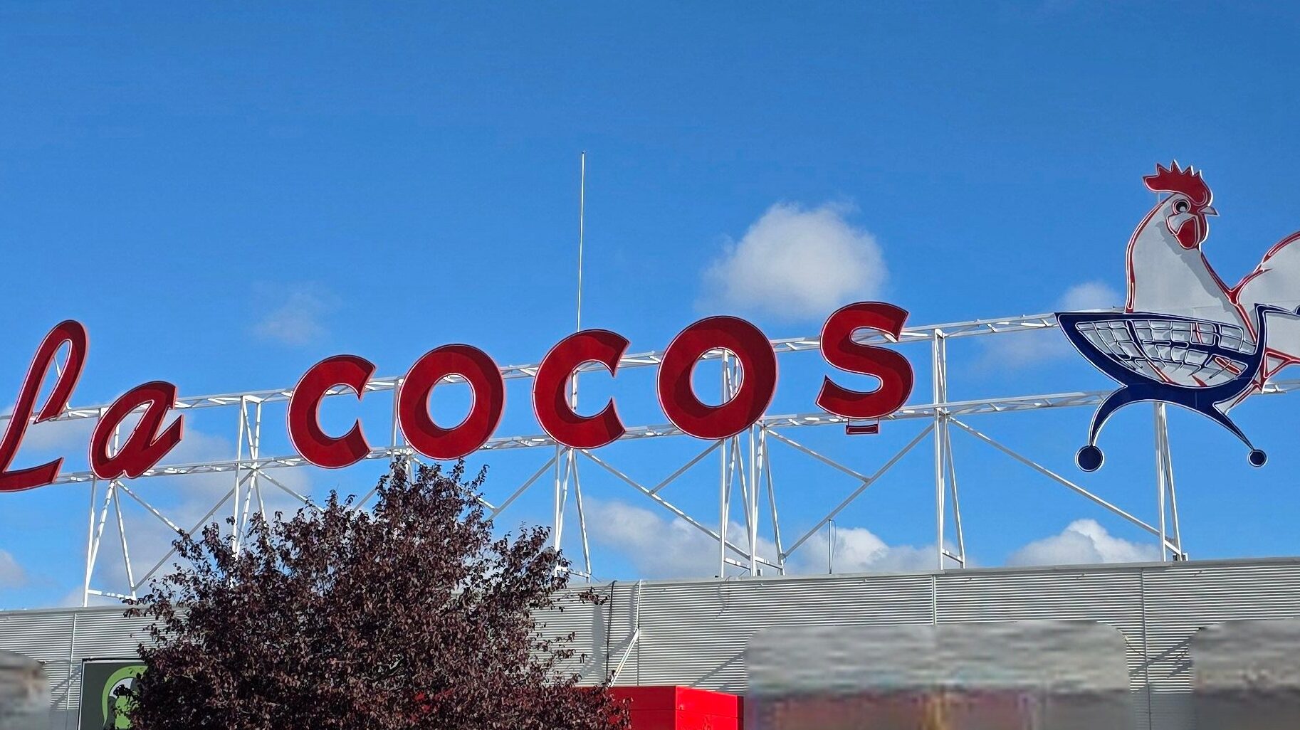 La Cocoș, unul dintre cele mai vechi și cunoscute lanțuri de magazine din România, va face în curând parte dintr-un conglomerat internațional de retail, după ce grupul german Schwarz, proprietarul Lidl și Kaufland, a finalizat preluarea companiei locale