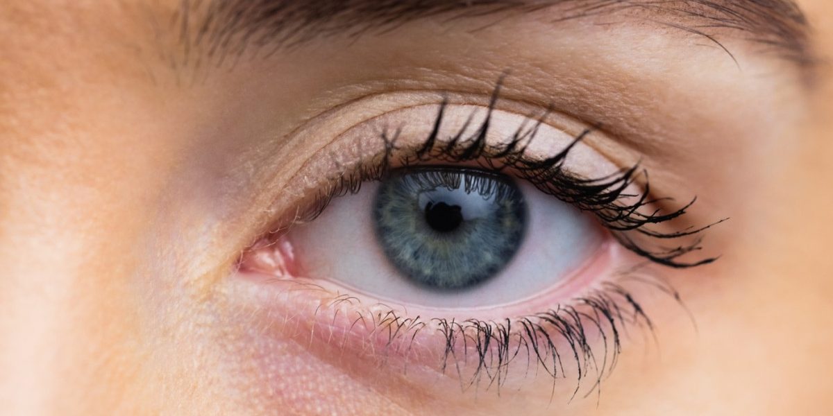 O descoperire revoluționară în domeniul oftalmologiei: o cornee artificială realizată din solzi de pește promite să transforme tratamentul bolilor oculare grave Un pas important în lupta pentru vindecarea afecțiunilor oculare a fost făcut de cercetători din cadrul Universității din Granada, care au dezvoltat o cornee artificială inovatoare, realizată din materiale naturale și ieftine: solzi de pește