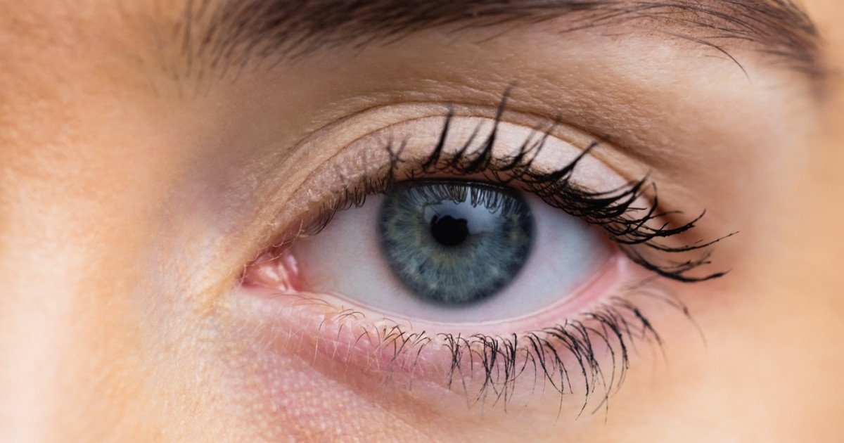 O descoperire revoluționară în domeniul oftalmologiei: o cornee artificială realizată din solzi de pește promite să transforme tratamentul bolilor oculare grave Un pas important în lupta pentru vindecarea afecțiunilor oculare a fost făcut de cercetători din cadrul Universității din Granada, care au dezvoltat o cornee artificială inovatoare, realizată din materiale naturale și ieftine: solzi de pește