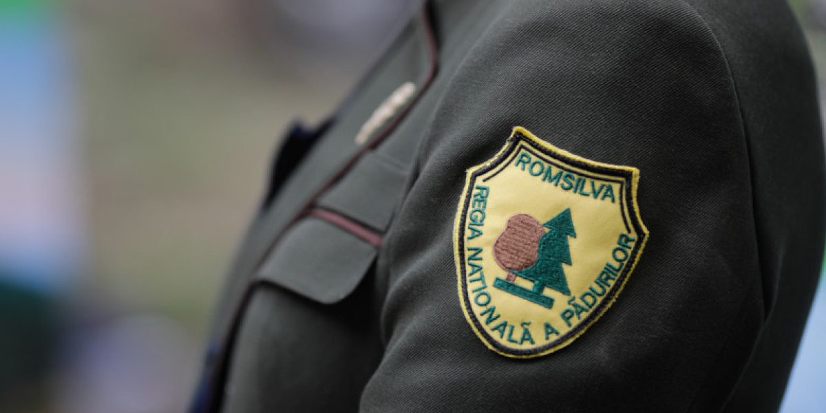 Guvernul începe o reformă semnificativă în sectorul gestionării pădurilor din România, o decizie care promite să redefinită modul în care resursele forestiere sunt administrate și controlate