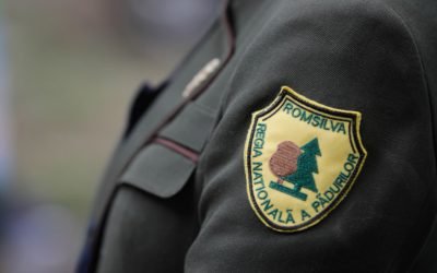 Guvernul începe o reformă semnificativă în sectorul gestionării pădurilor din România, o decizie care promite să redefinită modul în care resursele forestiere sunt administrate și controlate