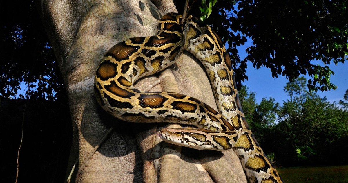 O descoperire remarcabilă în domeniul medical ar putea revoluționa tratamentul obezității și modul în care sunt dezvoltate medicamentele antialimentare