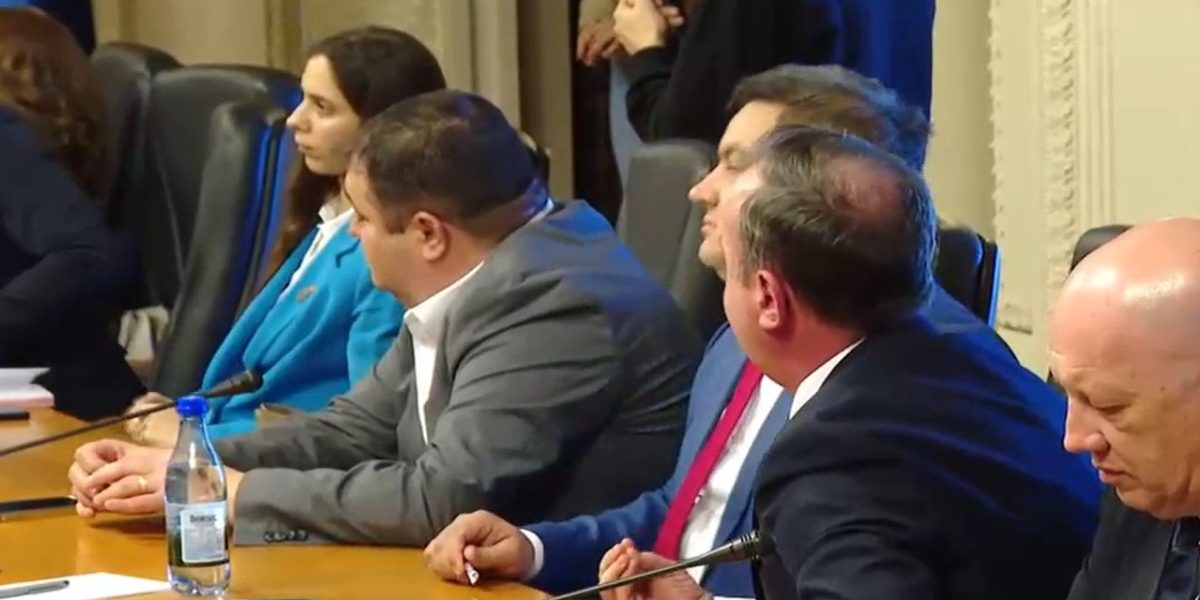 Ministrul de Externe, Oana Țoiu, acuzată de derapaj xenofob în comisie: „Vă pasă de români?”