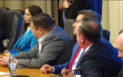 Ministrul de Externe, Oana Țoiu, acuzată de derapaj xenofob în comisie: „Vă pasă de români?”