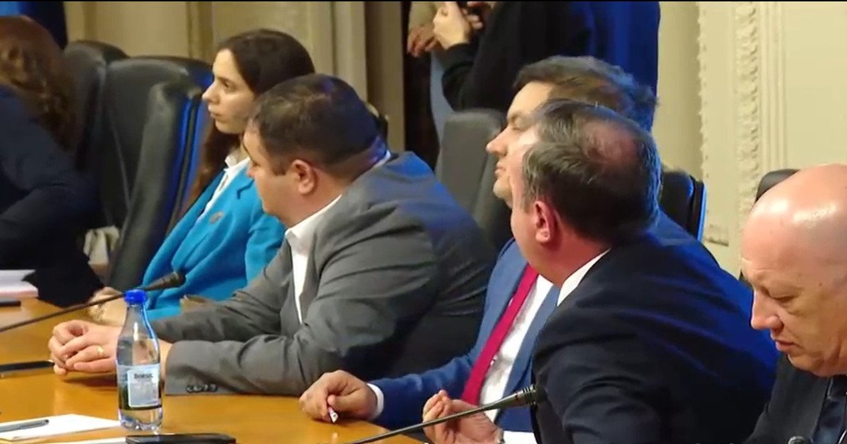 Ministrul de Externe, Oana Țoiu, acuzată de derapaj xenofob în comisie: „Vă pasă de români?”