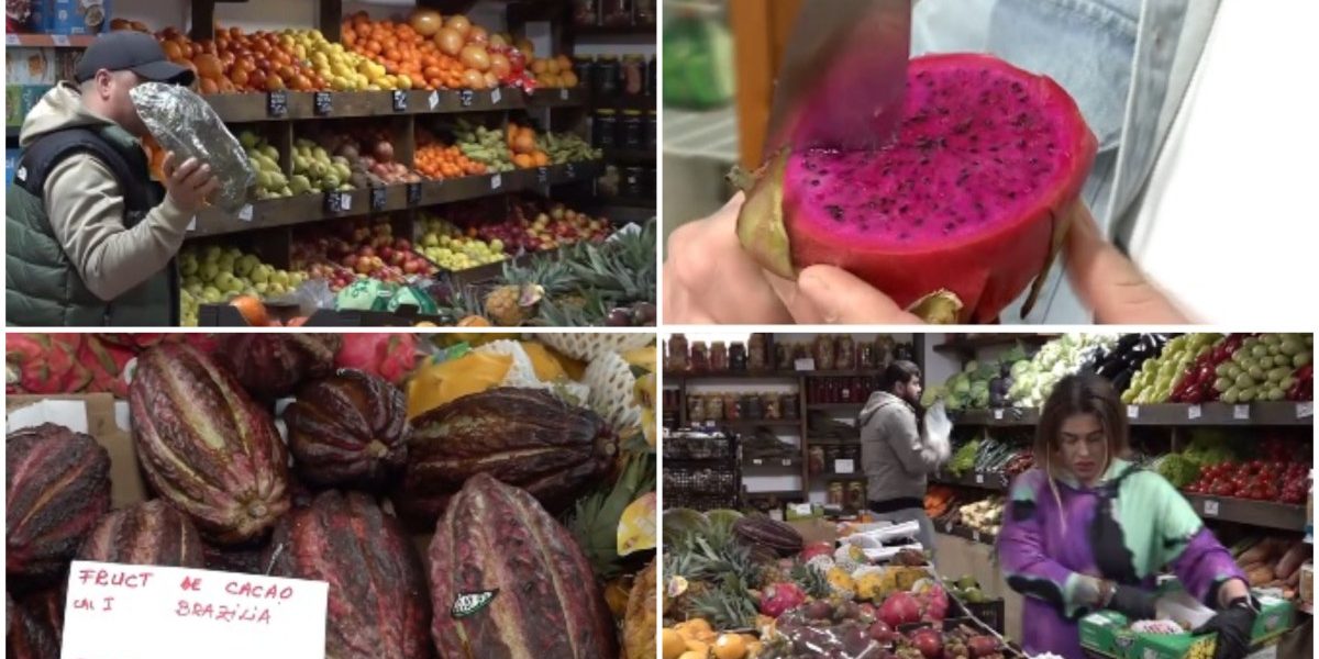 Afacerile cu fructe exotice prind contur și în micile sate din România, iar un exemplu elocvent îl reprezintă o familie dintr-un sat din Iași, care a transformat într-un adevărat paradis al gusturilor rare