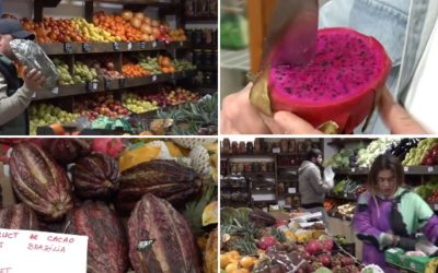 Afacerile cu fructe exotice prind contur și în micile sate din România, iar un exemplu elocvent îl reprezintă o familie dintr-un sat din Iași, care a transformat într-un adevărat paradis al gusturilor rare