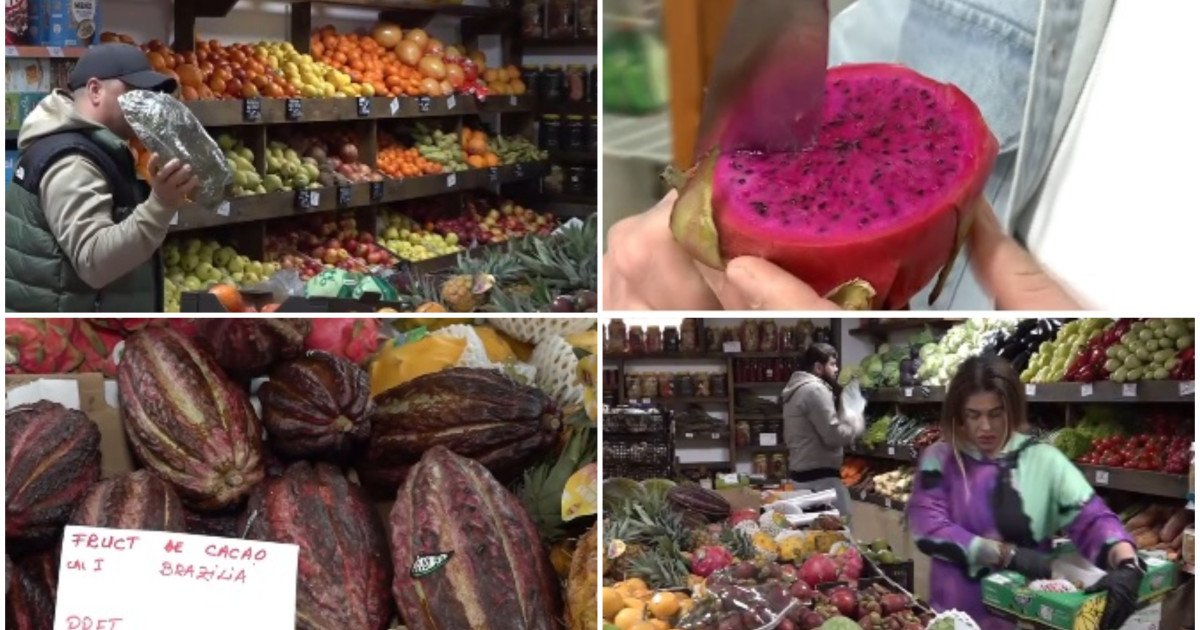 Afacerile cu fructe exotice prind contur și în micile sate din România, iar un exemplu elocvent îl reprezintă o familie dintr-un sat din Iași, care a transformat într-un adevărat paradis al gusturilor rare