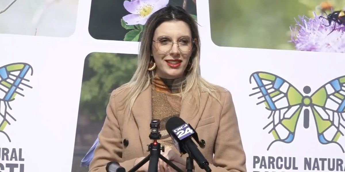 Ministrul Mediului anunță oficial: pădurea Băneasa, posibil parc natural în plan Ministrul Mediului, Diana Buzoianu, a declarat sâmbătă că pădurea Băneasa, una dintre cele mai populare zone verzi din Capitală, are șanse mari să fie declarată parc natural sau arie protejată