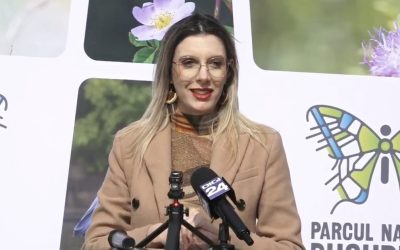 Ministrul Mediului anunță oficial: pădurea Băneasa, posibil parc natural în plan Ministrul Mediului, Diana Buzoianu, a declarat sâmbătă că pădurea Băneasa, una dintre cele mai populare zone verzi din Capitală, are șanse mari să fie declarată parc natural sau arie protejată