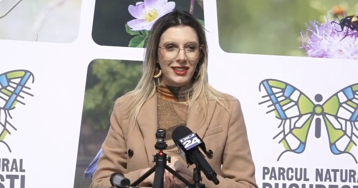 Ministrul Mediului anunță oficial: pădurea Băneasa, posibil parc natural în plan Ministrul Mediului, Diana Buzoianu, a declarat sâmbătă că pădurea Băneasa, una dintre cele mai populare zone verzi din Capitală, are șanse mari să fie declarată parc natural sau arie protejată
