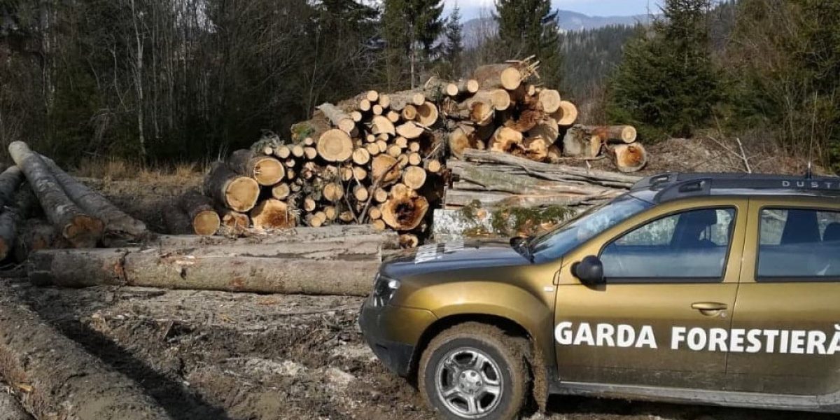 Ministerul Mediului promite revoluție în monitorizarea forestieră până la sfârșitul lunii august Într-un efort de a combate eficient defrișările ilegale și activitățile suspecte din zonele forestiere, autoritățile din Ministerul Mediului anunță lansarea unor tehnologii de ultimă generație în monitorizarea pădurilor
