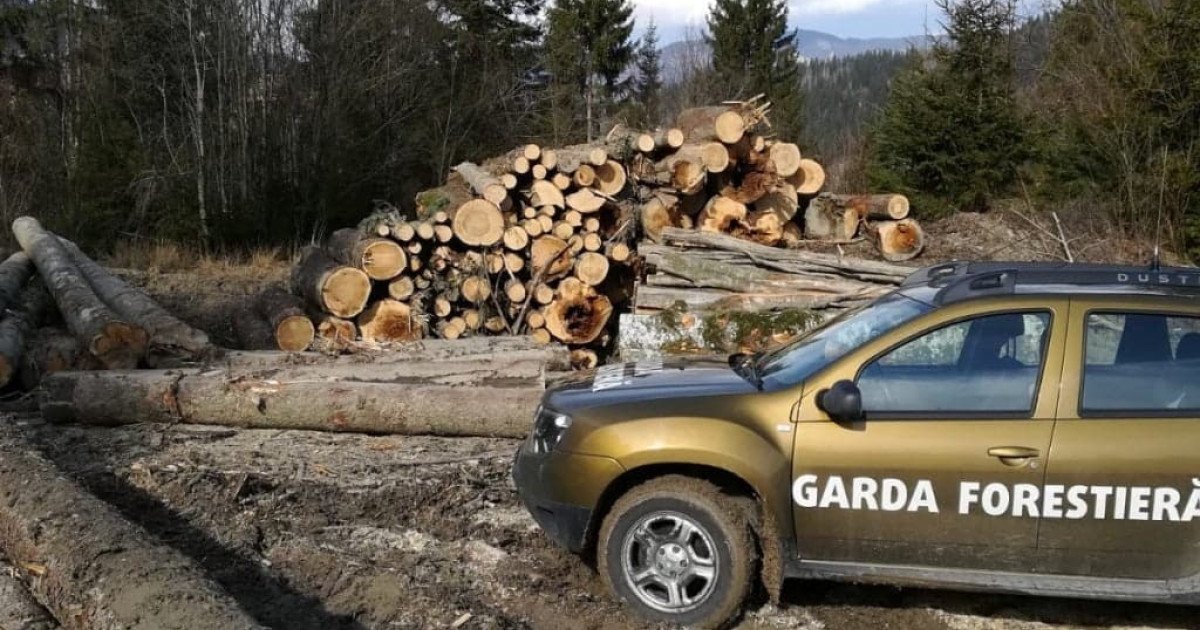 Ministerul Mediului promite revoluție în monitorizarea forestieră până la sfârșitul lunii august Într-un efort de a combate eficient defrișările ilegale și activitățile suspecte din zonele forestiere, autoritățile din Ministerul Mediului anunță lansarea unor tehnologii de ultimă generație în monitorizarea pădurilor