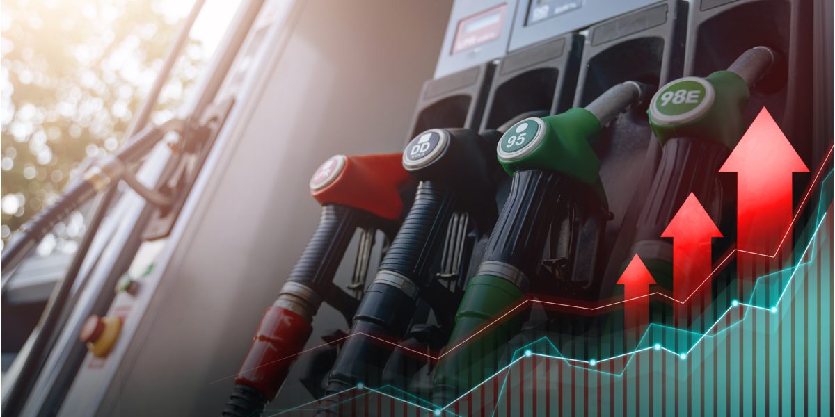 Guvernul trebuie să intervină rapid pentru a proteja categorii esențiale ale societății în contextul creșterii prețurilor la combustibili și al tensionării pieței globale a petrolului