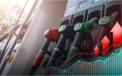 Guvernul trebuie să intervină rapid pentru a proteja categorii esențiale ale societății în contextul creșterii prețurilor la combustibili și al tensionării pieței globale a petrolului